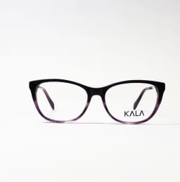 Product view of Kala-WD4169-C2