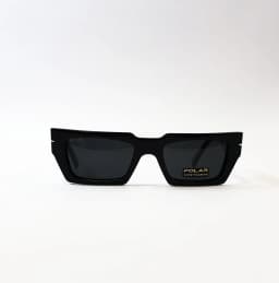 Product view of Polar-Gold161-77-SG