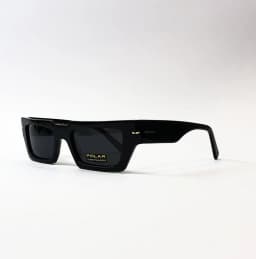 Product view of Polar-Gold161-77-SG_2