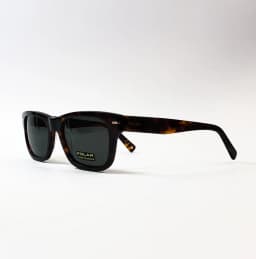 Product view of Polar-Gold167-428-SG_2