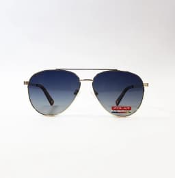 Product view of Polar-Gold301-02Q-SG