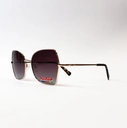 Product view of Polar-Gold302-08R-SG_2