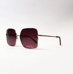 Product view of Polar-Gold303-02R-SG_2