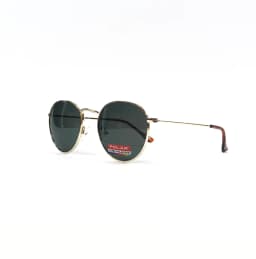 Product view of Polar-Michigan-77-S_2