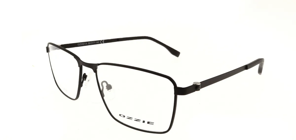Main view of OZ5501A