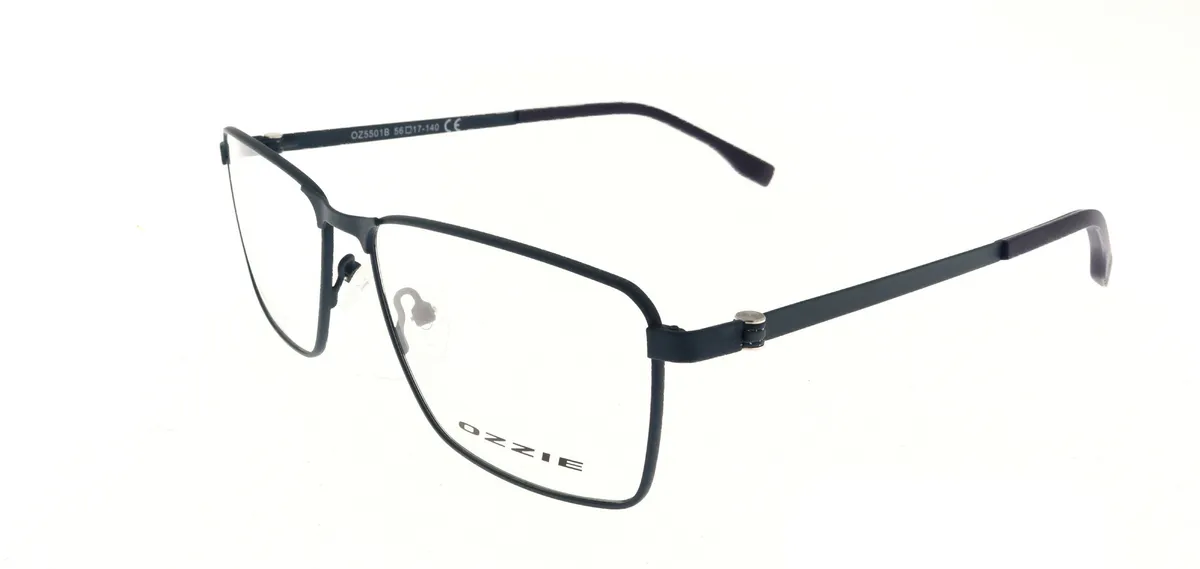 Main view of OZ5501B