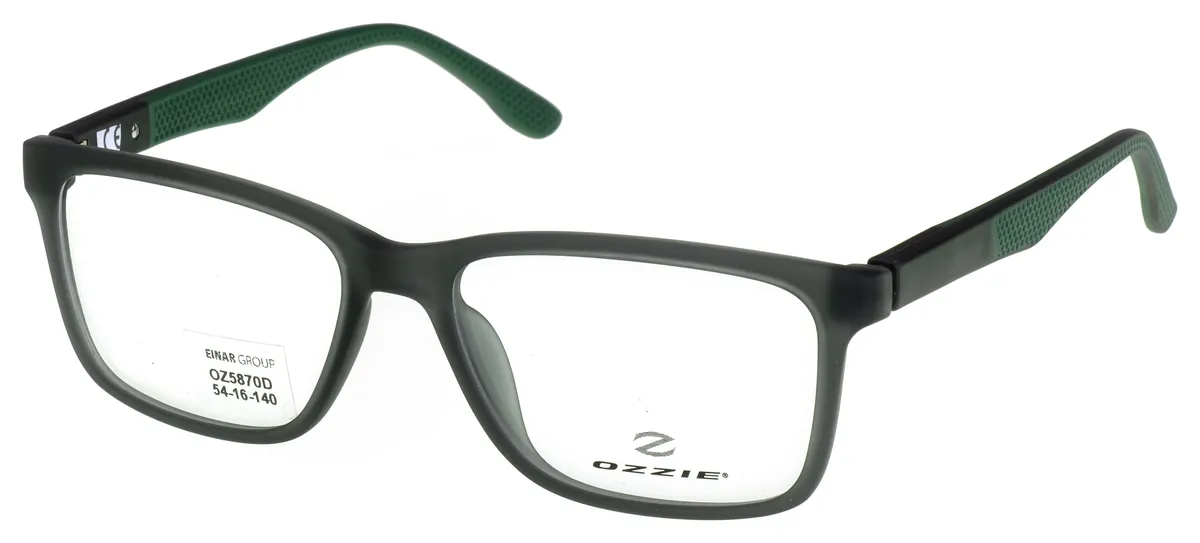Main view of OZ5870D