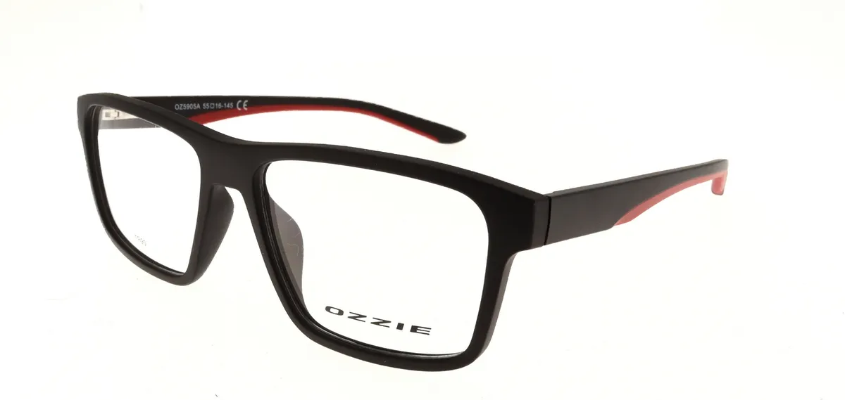 Main view of OZ5905A