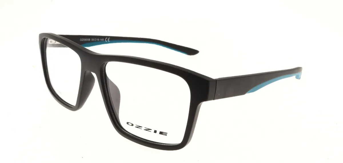 Main view of OZ5905B